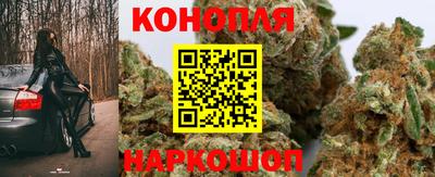 прущие крисы Лесосибирск
