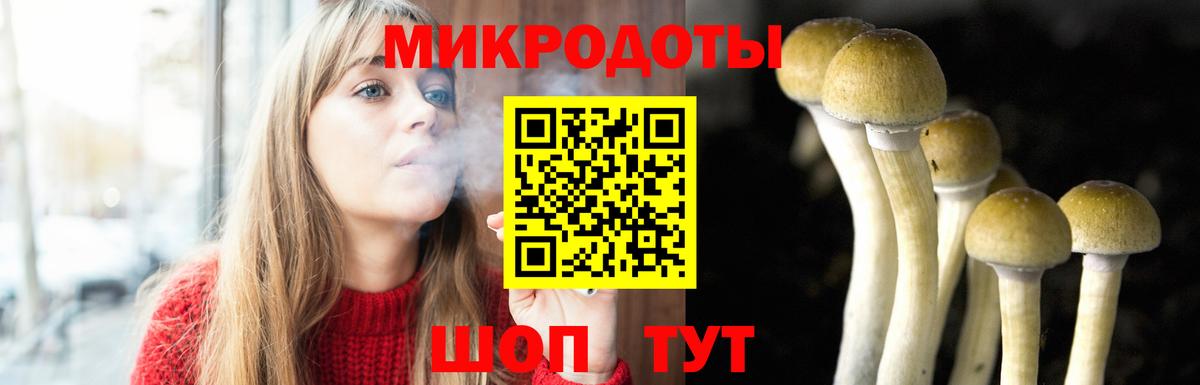 Галлюциногенные грибы MAGIC MUSHROOMS  Вход с VPN  Псилоцибиновые грибы мицелий  Десногорск 